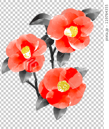 Tsubaki watercolor illustration 119764355