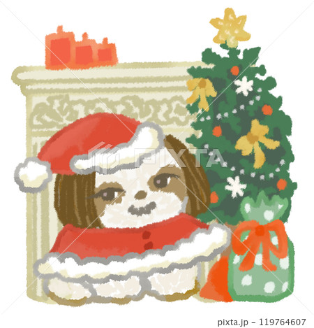 サンタの格好をした可愛いシーズーとクリスマスの飾り付け サンタの格好をした可愛いシーズーとクリスマスの飾り付け 119764607