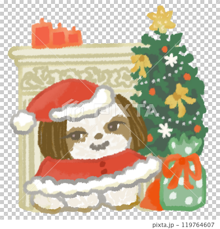 サンタの格好をした可愛いシーズーとクリスマスの飾り付け サンタの格好をした可愛いシーズーとクリスマスの飾り付け 119764607
