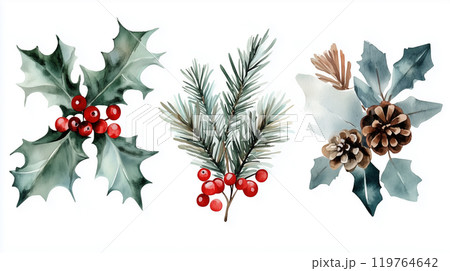 柊、クリスマスの水彩イラスト 柊、クリスマスの水彩イラスト 119764642