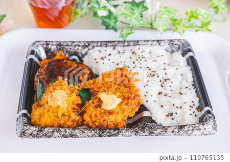 ハンバーグとチキンカツの弁当 119765135