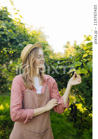 Farmer in hat checking grapes quality on large vineyard plantation. Quality control. Smart farming and digital agriculture. Agriculture. 119765485