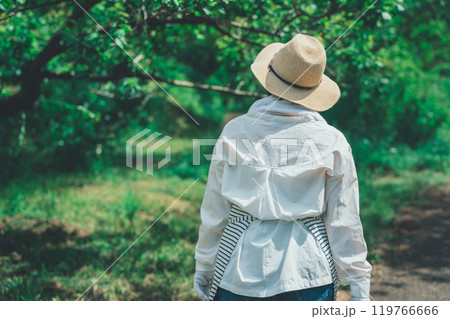 樹木と農家 119766666