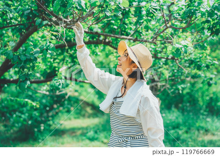 樹木と農家 樹木と農家 119766669