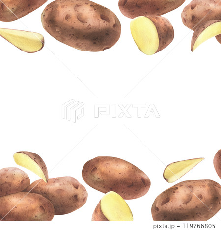 Red potatoes whole, half, cut, peeled and wedges. Watercolor hand drawn illustration on the theme of harvesting, cooking, food, vegetable shop design. Square frame template border 119766805