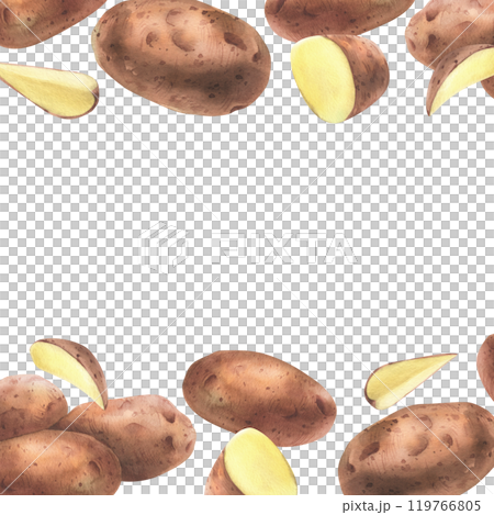 Red potatoes whole, half, cut, peeled and wedges. Watercolor hand drawn illustration on the theme of harvesting, cooking, food, vegetable shop design. Square frame template border 119766805