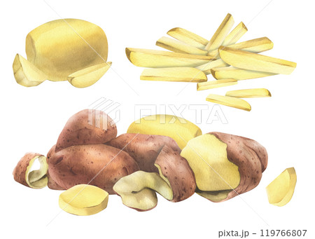 Red potatoes whole, half, cut, peeled and wedges. Watercolor hand drawn illustration on the theme of harvesting, cooking, food, vegetable shop design. Set of elements isolated from background Red potatoes whole, half, cut, peeled and wedges. Watercolor hand drawn illustration on the theme of harvesting, cooking, food, vegetable shop design. Set of elements isolated from background 119766807