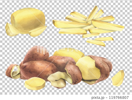 Red potatoes whole, half, cut, peeled and wedges. Watercolor hand drawn illustration on the theme of harvesting, cooking, food, vegetable shop design. Set of elements isolated from background Red potatoes whole, half, cut, peeled and wedges. Watercolor hand drawn illustration on the theme of harvesting, cooking, food, vegetable shop design. Set of elements isolated from background 119766807