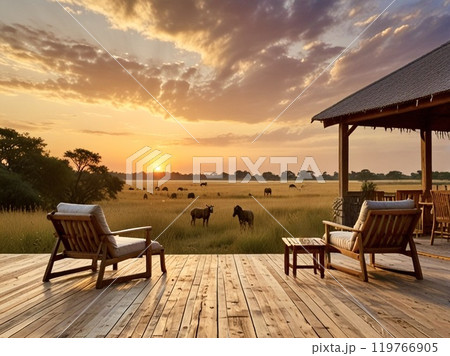 アフリカの草原に落ちる夕日 119766905