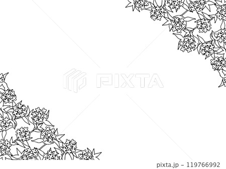 金木犀の白黒イフレームのイラスト素材 [119766992] - PIXTA