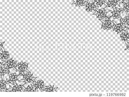 Black and white osmanthus frame 119766992