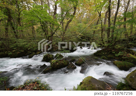 阿修羅の流れ〜の奥入瀬 119767256