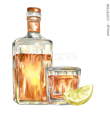 Watercolor bottle of Whiskey and Lime. Alcohol beverage illustration. 119767396