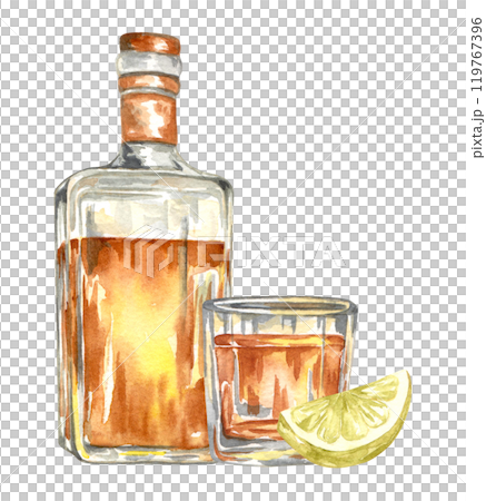 Watercolor bottle of Whiskey and Lime. Alcohol beverage illustration. 119767396