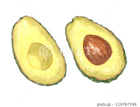 Two halves of avocado, isolated on white background. Watercolor style. 119767399
