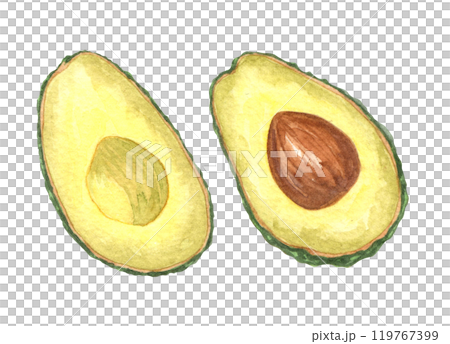 Two halves of avocado, isolated on white background. Watercolor style. 119767399