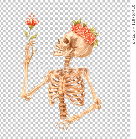 Human scull decorated with floral crown. Watercolor illustration. Mexican day of the dead. Human scull decorated with floral crown. Watercolor illustration. Mexican day of the dead. 119767410