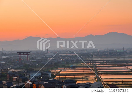 弥彦大鳥居（新潟県） 119767522