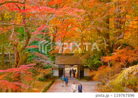 香嵐渓 香積寺の紅葉 119767896