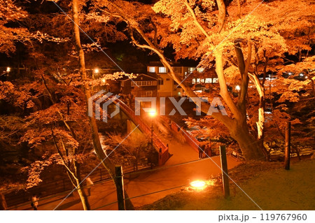 香嵐渓紅葉のライトアップ 待月橋 香嵐渓紅葉のライトアップ 待月橋 119767960
