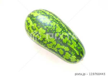 スイカ　すいか　西瓜　うり坊 119768443