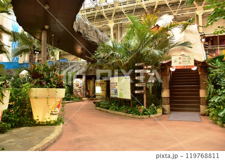 福島県 スパリゾートハワイアンズのウオーターパーク 福島県 スパリゾートハワイアンズのウオーターパーク 119768811