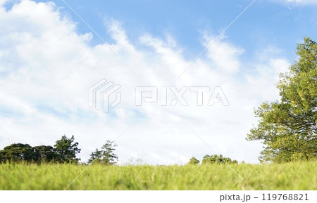 芝生と空の風景 芝生と空の風景 119768821