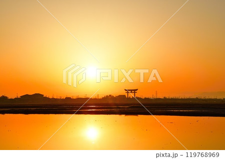 弥彦大鳥居（新潟県） 119768969