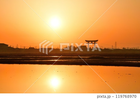 弥彦大鳥居(新潟県) 弥彦大鳥居(新潟県) 119768970