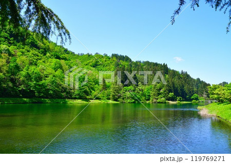 新緑の加茂水源地(新潟県) 新緑の加茂水源地(新潟県) 119769271