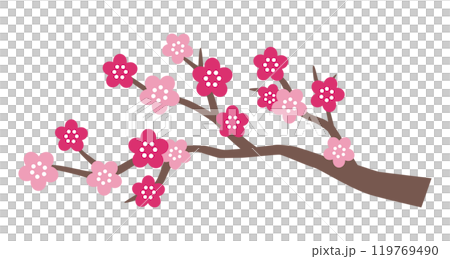 かわいい梅の花のベクターイラスト 119769490