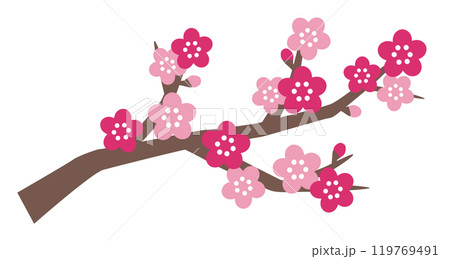 かわいい梅の花のベクターイラスト 119769491