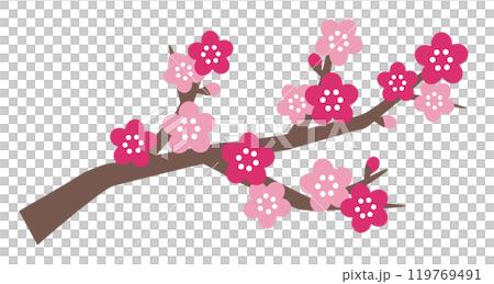 かわいい梅の花のベクターイラスト 119769491