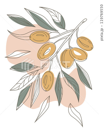 olive branch hand-drawing ,pastel color ,minimalism. 119769550
