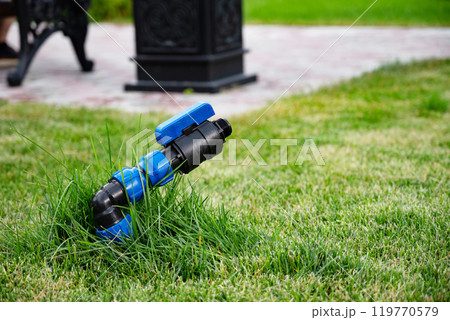 Sprinkler system in a lush green lawn, close-up. 119770579