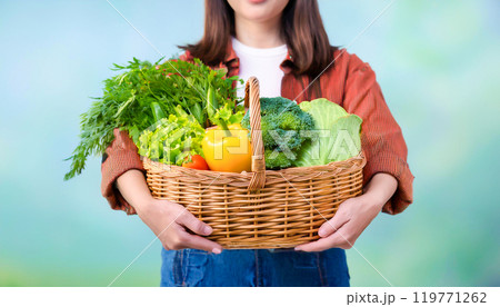 採れたて新鮮野菜 119771262