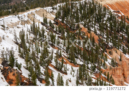 Stunning views of the Bryce Canyon amphitheater during winter with lots of snow. Stunning views of the Bryce Canyon amphitheater during winter with lots of snow. 119771272