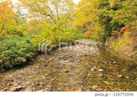 秋の尾瀬 草紅葉と森の紅葉 鳩待峠〜山ノ鼻 秋の尾瀬 草紅葉と森の紅葉 鳩待峠〜山ノ鼻 119772040