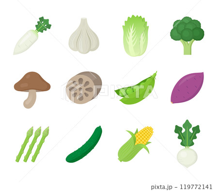 野菜のアイコン・イラストのセット 野菜のアイコン・イラストのセット 119772141