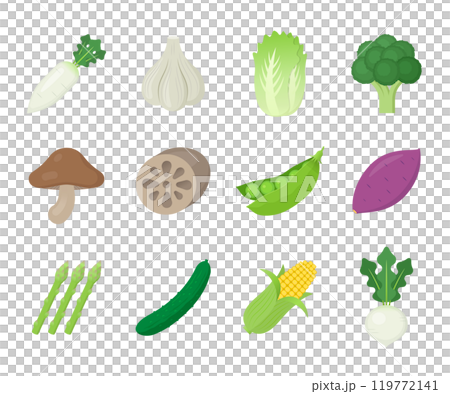 野菜のアイコン・イラストのセット 野菜のアイコン・イラストのセット 119772141