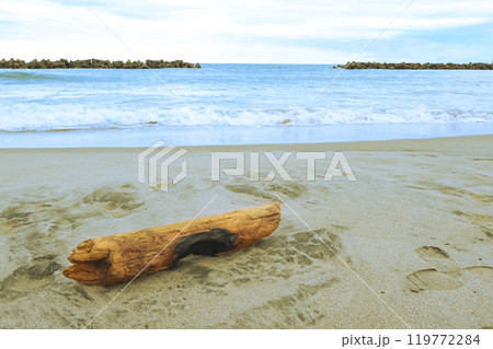 流木と夏の終わりの海 流木と夏の終わりの海 119772284