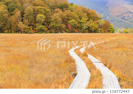 秋の尾瀬 草紅葉と森の紅葉 山ノ鼻〜竜宮 秋の尾瀬 草紅葉と森の紅葉 山ノ鼻〜竜宮 119772447