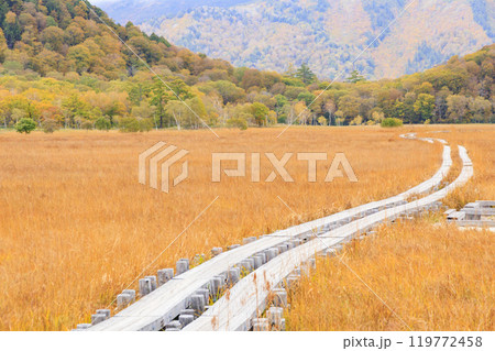 秋の尾瀬 草紅葉と森の紅葉 山ノ鼻〜竜宮 秋の尾瀬 草紅葉と森の紅葉 山ノ鼻〜竜宮 119772458
