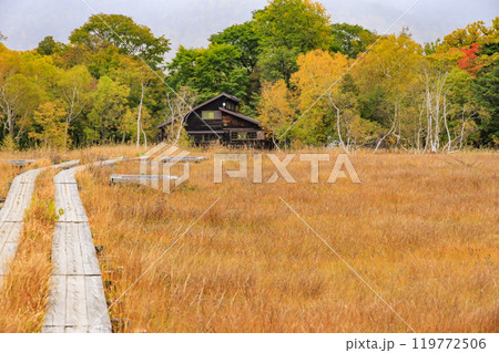 秋の尾瀬 草紅葉と森の紅葉 山ノ鼻〜竜宮 秋の尾瀬 草紅葉と森の紅葉 山ノ鼻〜竜宮 119772506