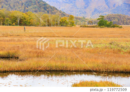 秋の尾瀬　草紅葉と森の紅葉　山ノ鼻〜竜宮 119772509