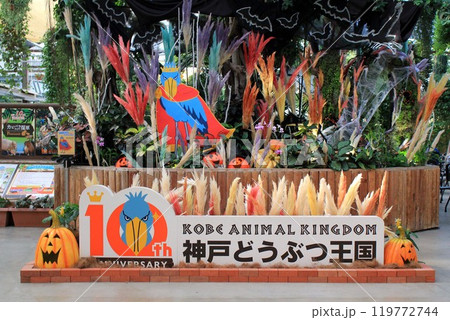 神戸どうぶつ王国 神戸どうぶつ王国 119772744