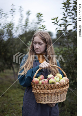 girl holds basket with juicy apples in the garden girl holds basket with juicy apples in the garden 119772784