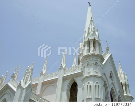 インド　チェンナイ　サン・トメ聖堂 119773334