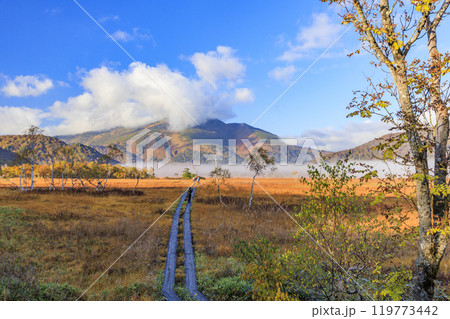 秋の尾瀬 草紅葉と森の紅葉 竜宮〜見晴 秋の尾瀬 草紅葉と森の紅葉 竜宮〜見晴 119773442