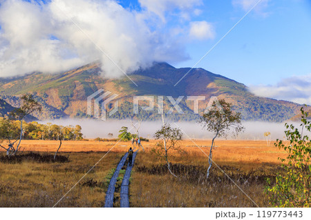 秋の尾瀬 草紅葉と森の紅葉 竜宮〜見晴 秋の尾瀬 草紅葉と森の紅葉 竜宮〜見晴 119773443